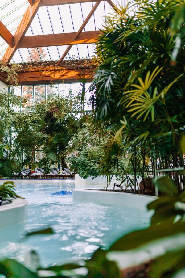 فندق رهط بالاس الماتي المظهر الخارجي الصورة The indoor swimming pool